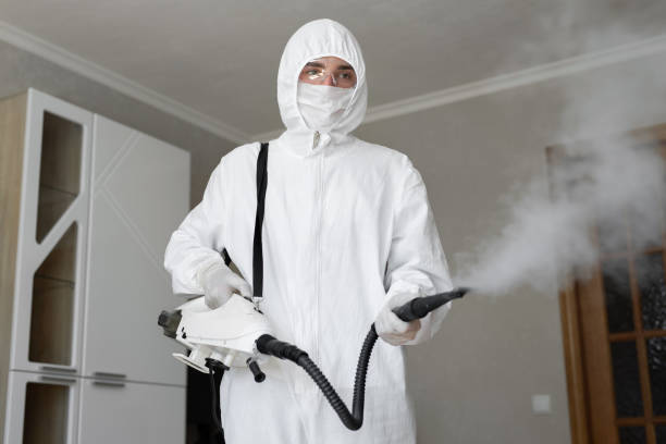 Biohazard Mold Removal in Stone Park, IL